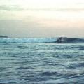 Surfer in Costarica